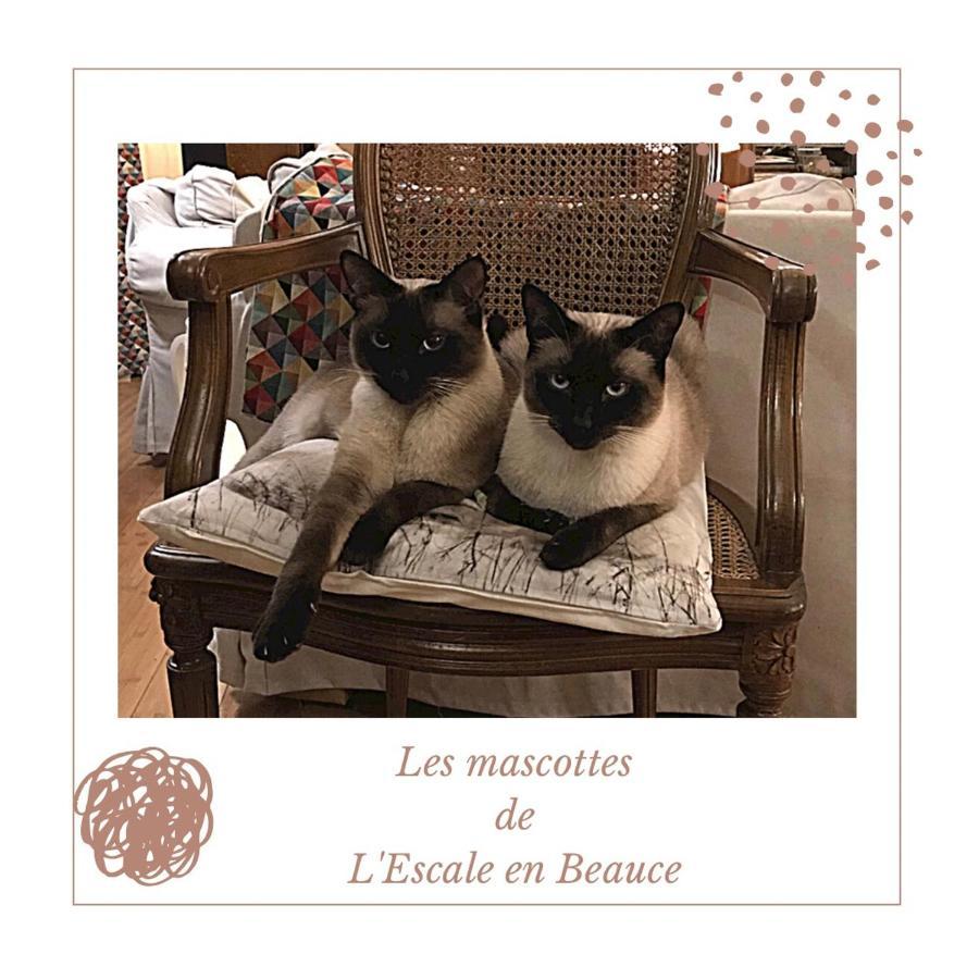 Maisons  L Escale En Beauce Bed & Breakfast エクステリア 写真